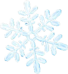 snow flake